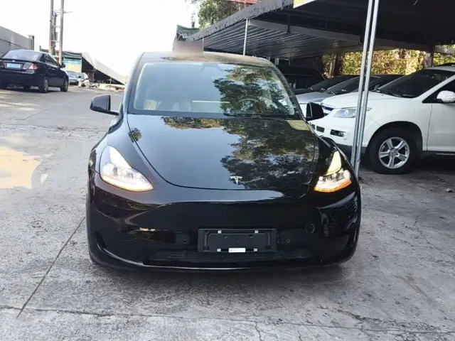 Tesla Model Y — Фото автомобиля 2