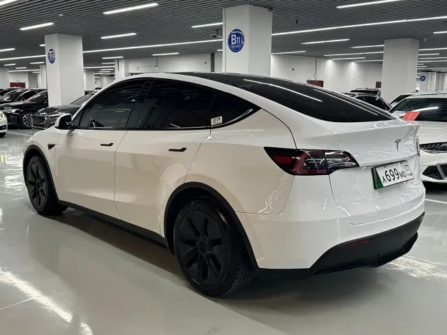 Tesla Model Y — Фото автомобиля 17