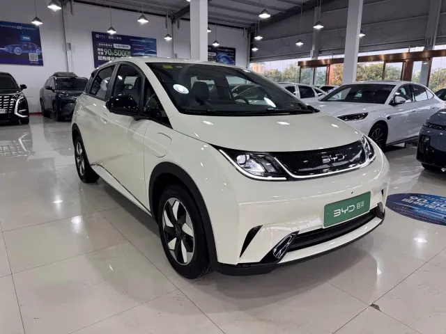 BYD Dolphin — Фото автомобиля 3