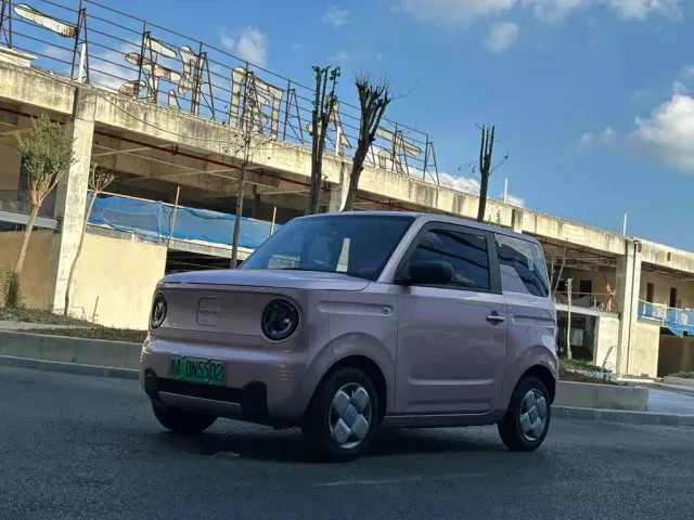 Фотография автомобиля — Geely Panda