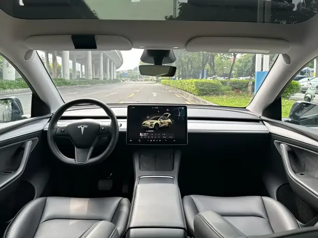 Tesla Model Y — Фото автомобиля 10