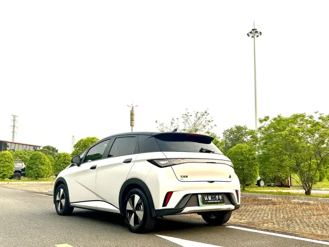 BYD Dolphin — Фото автомобиля 5