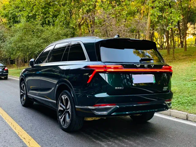 Wey Lanshan — Фото автомобиля 16