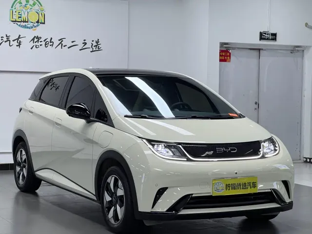 BYD Dolphin — Фото автомобиля 4