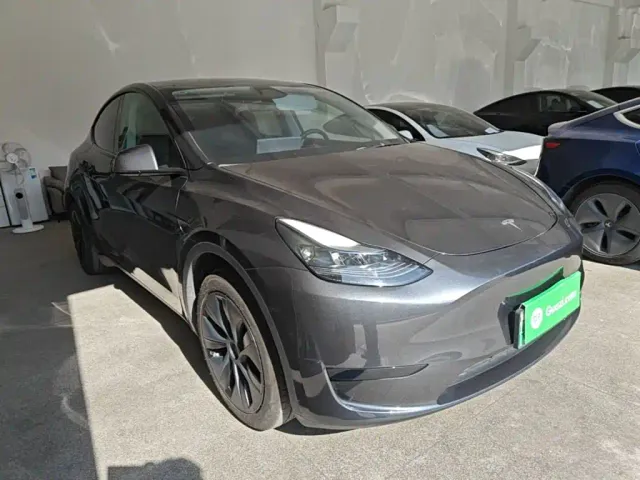 Tesla Model Y — Фото автомобиля 3