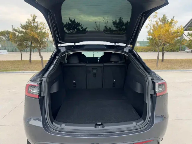 Tesla Model Y — Фото автомобиля 15