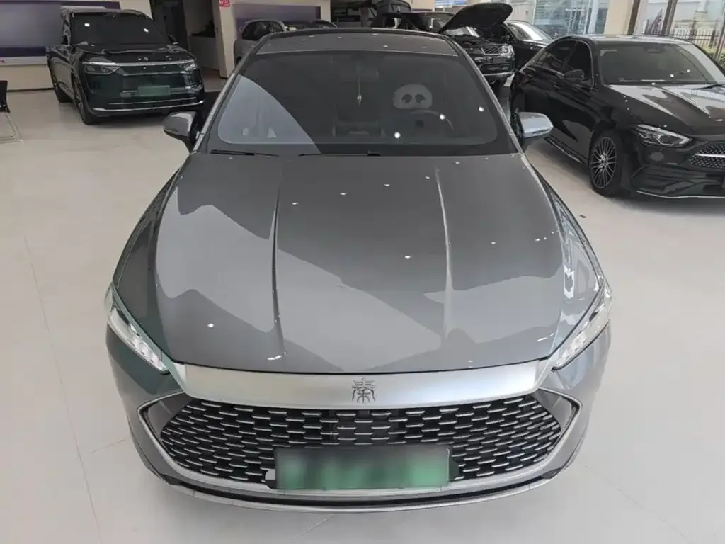 BYD Qin PLUS 2021 DM-i 55KM Premium — Фото автомобиля 2