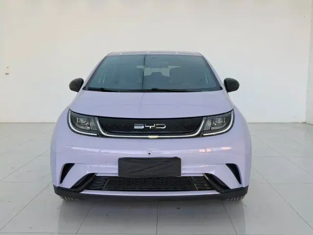 BYD Dolphin — Фото автомобиля 2