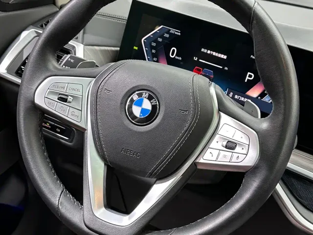 BMW X7 — Фото автомобиля 25