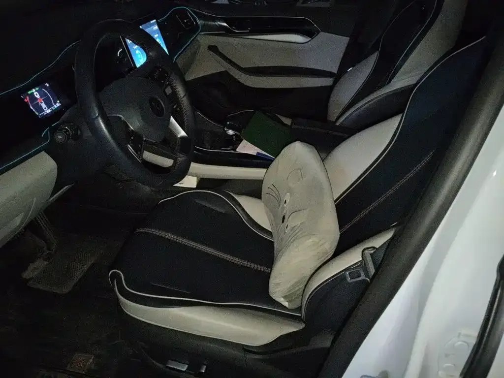 BYD Qin PLUS 2021 DM-i 55KM Flagship — Фото автомобиля 16