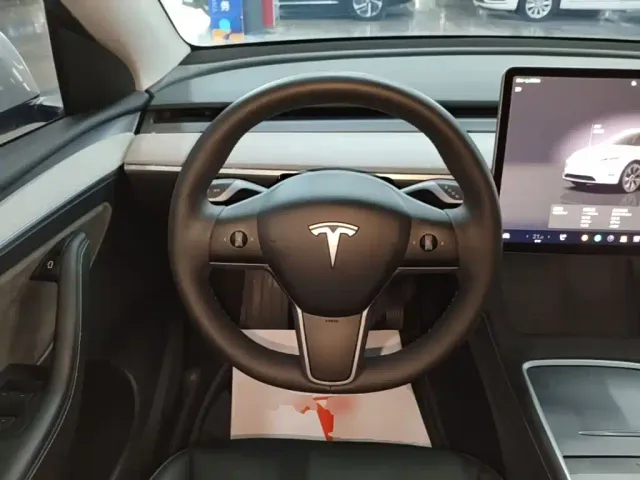 Tesla Model Y — Фото автомобиля 10
