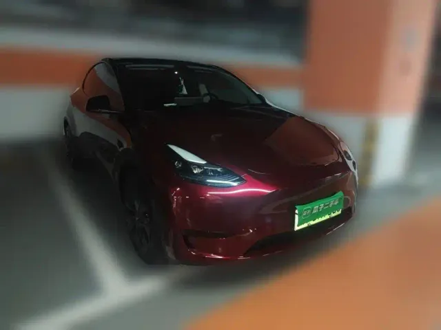 Tesla Model Y — Фото автомобиля 3