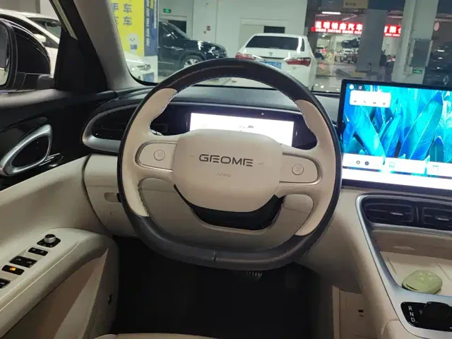 Geely Starry Wish — Фото автомобиля 15