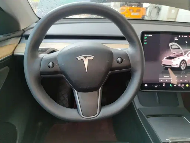 Tesla Model Y — Фото автомобиля 10