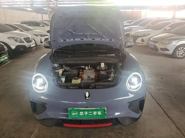 Ora Ora Good Cat GT 2022 Mulan Edition 480km Long Range — Фото автомобиля 22