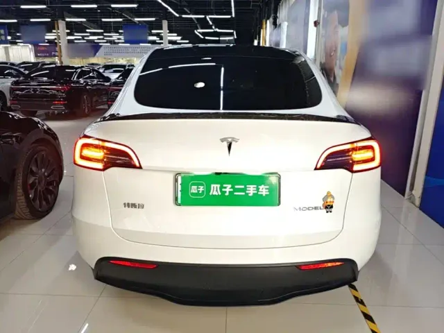 Tesla Model Y — Фото автомобиля 5
