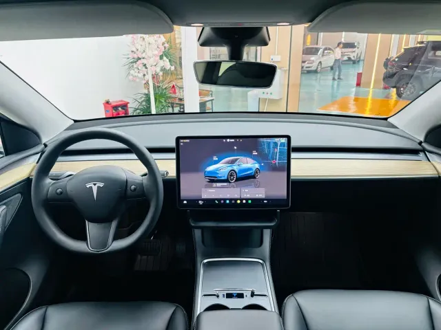 Tesla Model Y — Фото автомобиля 7