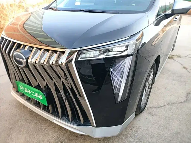 GAC Trumpchi M8 — Фото автомобиля 23