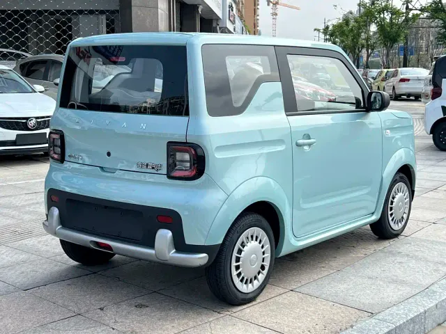 Livan Ruilan Blue Elf — Фото автомобиля 4