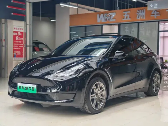 Tesla Model Y — Фото автомобиля 3