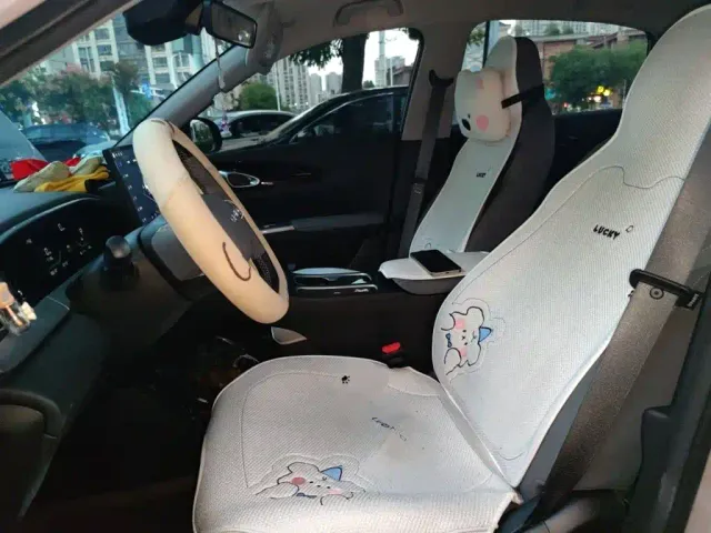 Geely Starry Wish — Фото автомобиля 11