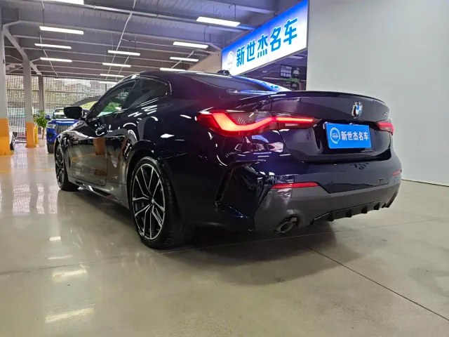 BMW 4 Series — Фото автомобиля 14