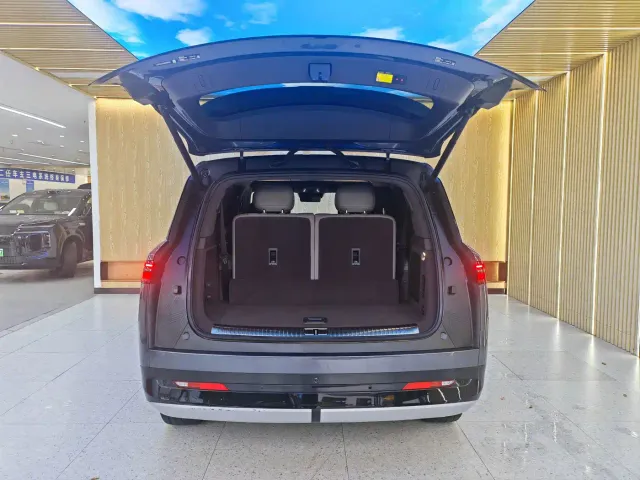 Denza N9 — Фото автомобиля 18