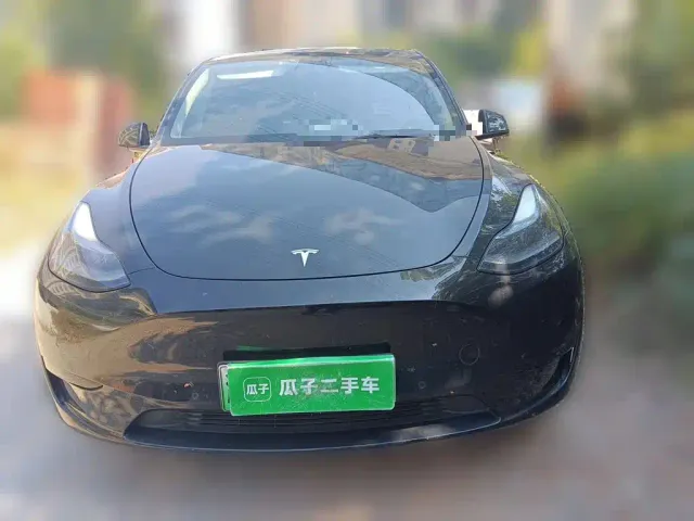 Tesla Model Y — Фото автомобиля 2