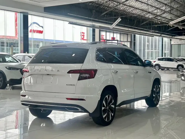 Skoda Karoq — Фото автомобиля 6