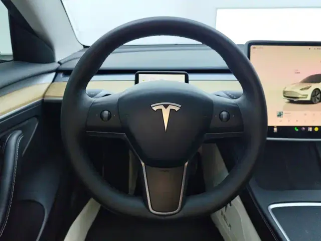 Tesla Model 3 — Фото автомобиля 15