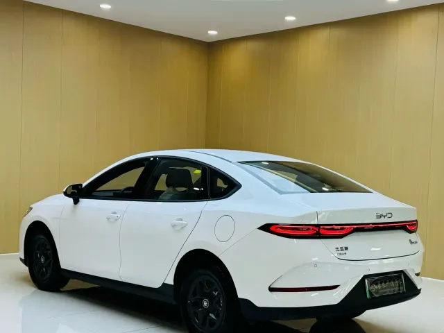 BYD Qin PLUS — Фото автомобиля 12