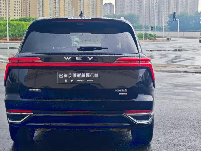 Wey Lanshan — Фото автомобиля 6