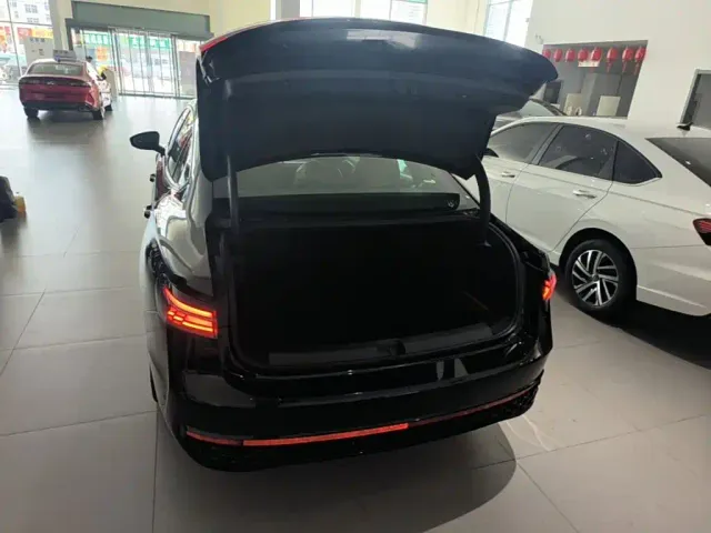 Volkswagen Passat — Фото автомобиля 18
