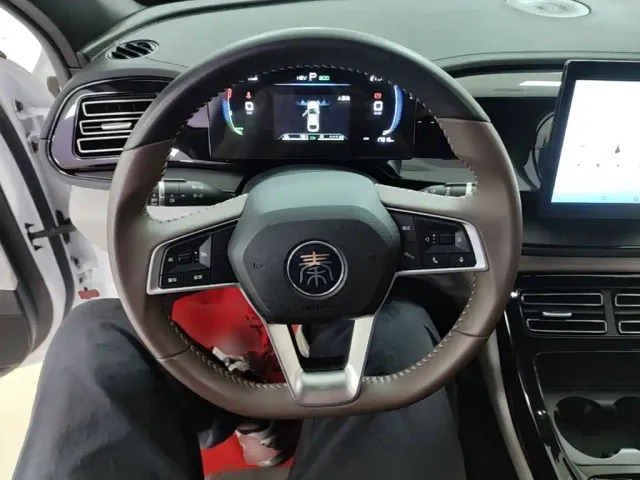 BYD Qin PLUS — Фото автомобиля 10