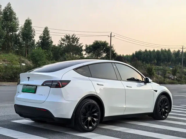 Tesla Model Y — Фото автомобиля 7