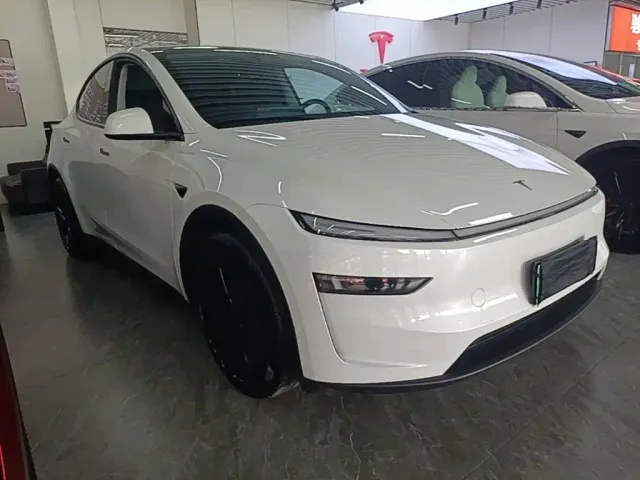 Tesla Model Y — Фото автомобиля 3