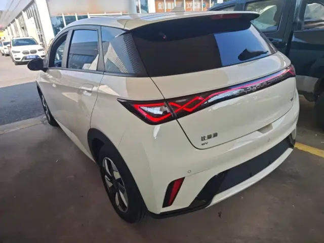 BYD Dolphin — Фото автомобиля 4