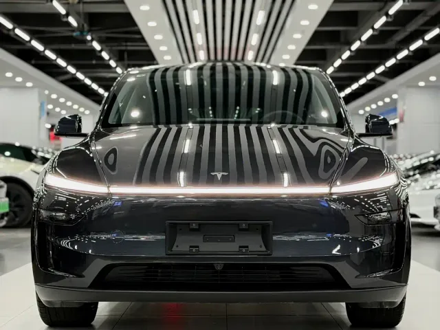 Tesla Model Y — Фото автомобиля 2