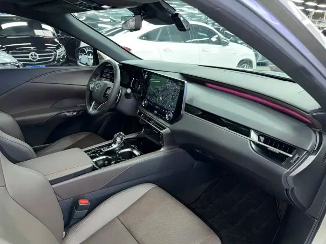 Lexus Lexus RX New Energy 2023 450h+ 4WD Enjoyment — Фото автомобиля 19