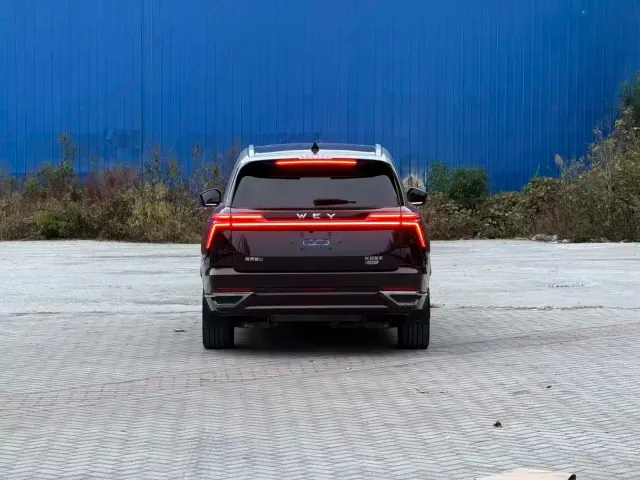 Wey Lanshan — Фото автомобиля 7