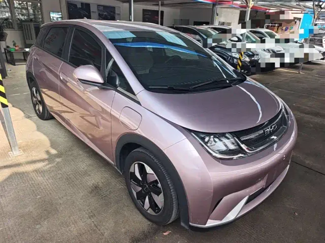 BYD Dolphin — Фото автомобиля 21