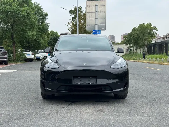 Tesla Model Y — Фото автомобиля 2
