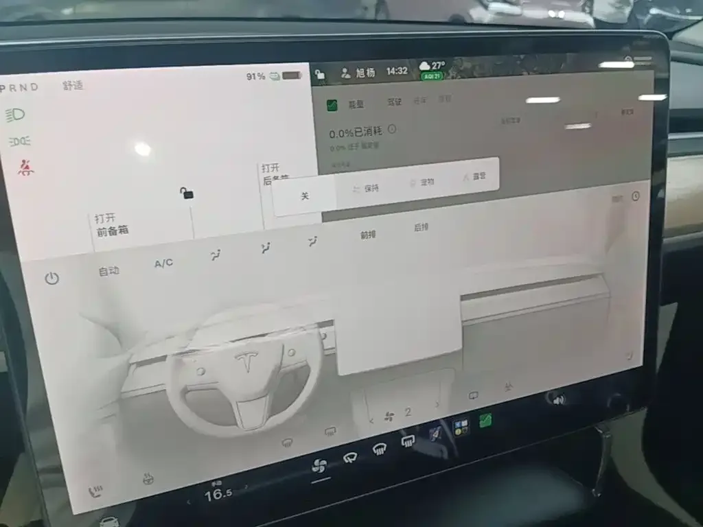 Tesla Model Y 2021 Standard Range Rear-Wheel Drive — Фото автомобиля 12