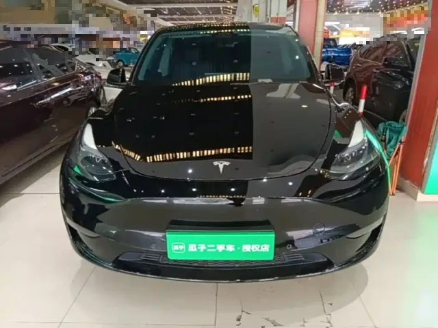 Tesla Model Y — Фото автомобиля 2