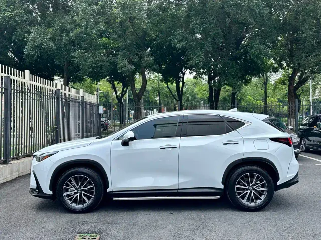 Lexus NX — Фото автомобиля 11