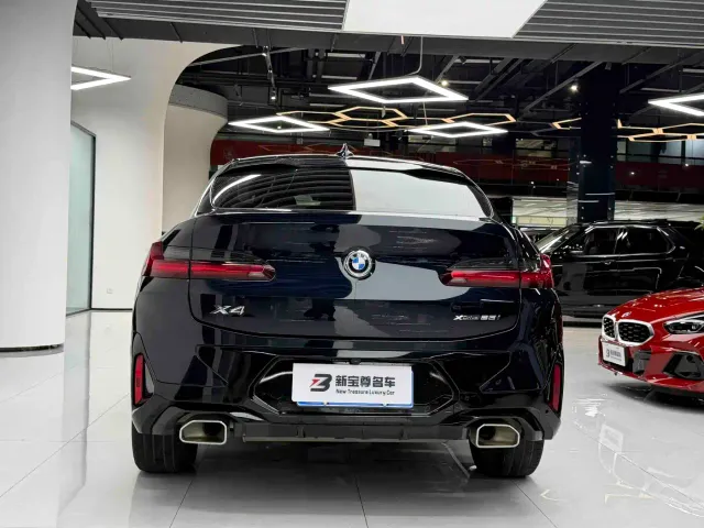 BMW X4 — Фото автомобиля 12