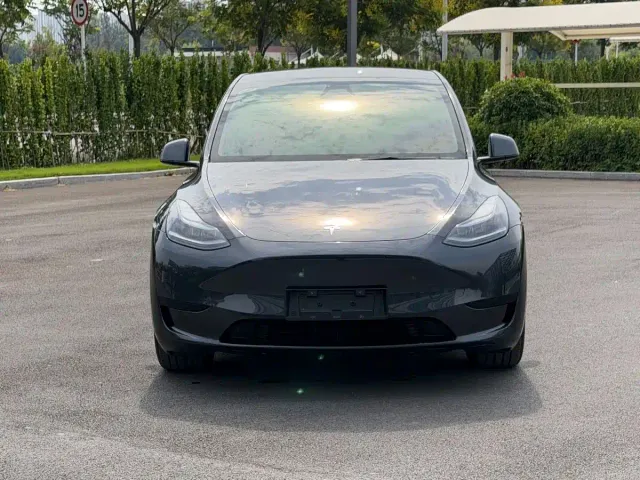 Tesla Model Y — Фото автомобиля 2