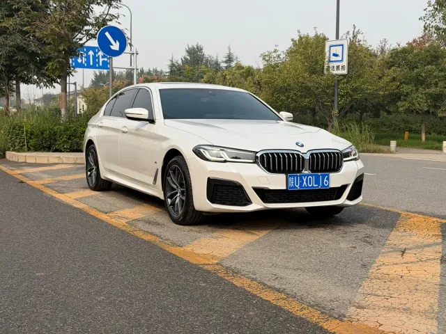 BMW 5 Series — Фото автомобиля 3