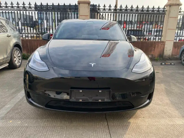 Tesla Model Y — Фото автомобиля 2