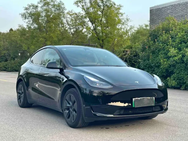 Tesla Model Y — Фото автомобиля 3